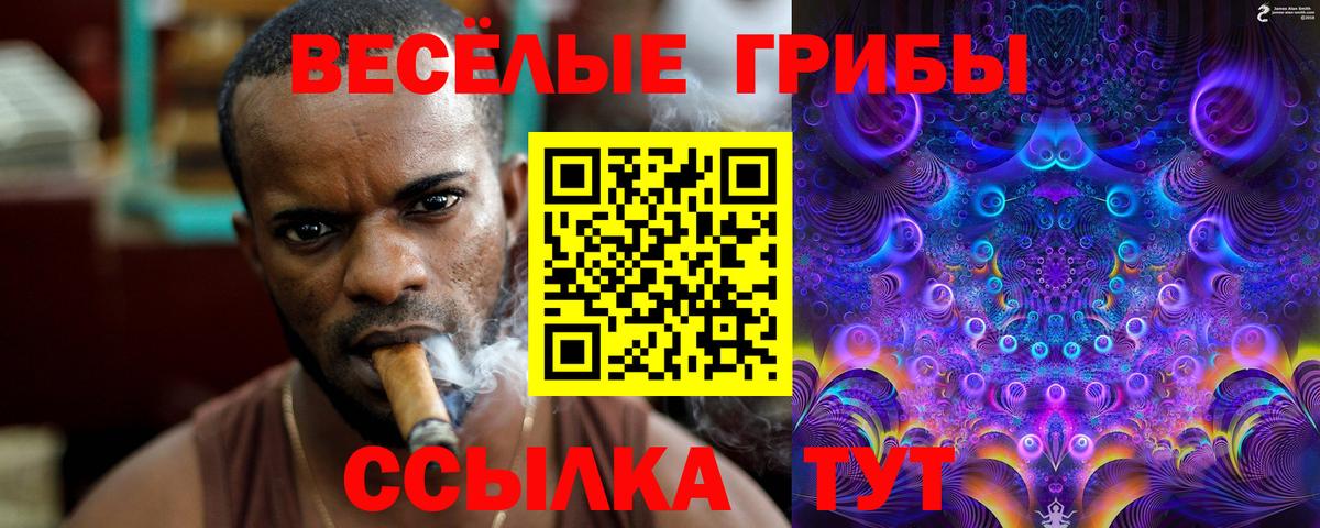 Псилоцибиновые грибы ЛСД Отрадное