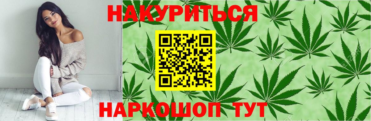Канабис конопля Отрадное